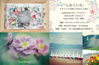 20120917shikakuiro.jpg
